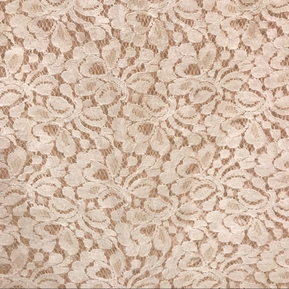 Pale Pink Sheer Lace Cap Sleeve Blouse - Picture 4 of 6